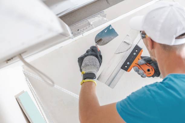 Mold Removal for HVAC Installations in Overland, MO